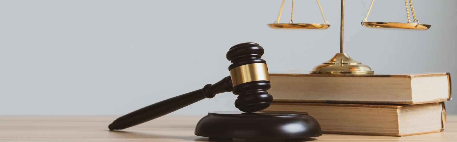 Economie - droit - politique